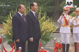 High level visits to shape basis for stronger Vietnam-Egypt ties