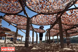 Sa Huynh seafood village in Quang Ngai province