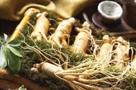 Ngoc Linh gingseng, medical herbs centerpiece of exhibition