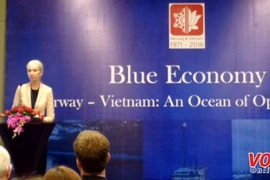 Vietnam, Norway look to optimise maritime economic cooperation