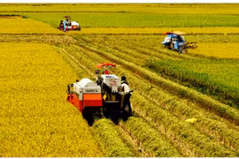 Cuba boosts cooperation with Mekong Delta 