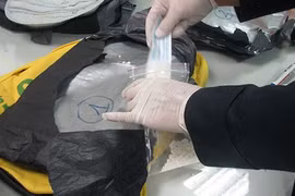 Colombian national arrested for illegal drug transportation
