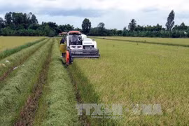Large scale fields developed in northern region 
