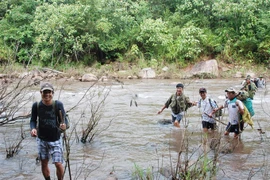 Citizen patrols: good for forests, good for farmers