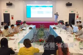 Can Tho strives to become Mekong Delta’s startup hub