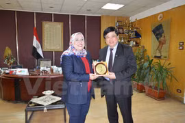 Vietnam, Egypt radio stations foster broadcasting cooperation