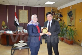 Vietnam, Egypt radio stations foster broadcasting cooperation