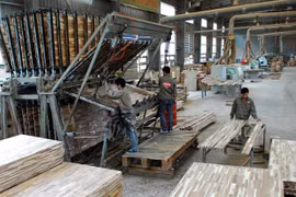 Wood enterprises helped to meet EU requirements