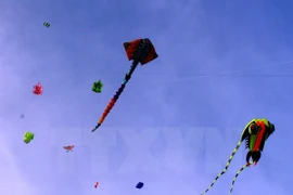 Annual kite fest takes wing in Vung Tau