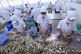 EU trade pact to generate new momentum for Vietnam