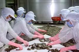 Seafood exports hoped to fetch 7.1 billion USD in 2017