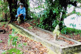 Malaysia: Bones thought from giant humans discovered