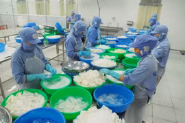 Aquatic product exports fetch 7 billion USD in 2016