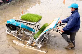 Vietnam seeks more int’l help for sustainable agriculture 