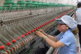Vietnam, Thailand seek to beef up trade-investment ties