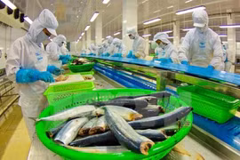 China likely becomes Vietnam’s biggest tra fish market