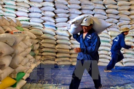 Rice exports see sharp drop due to market difficulty