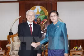Vietnam treasures all-around ties with Laos: Party leader 