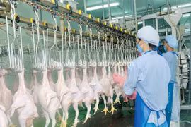 First Vietnamese company to export chicken to Japan