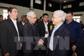 Party chief meets constituents in Hanoi 