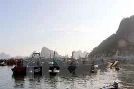 North, central Vietnam urged to brace for Storm Tokage