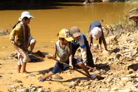 Southern province acts to minimising children labour