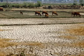 New index for Vietnam climate resilience