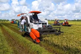 Can Tho, RoK association cooperate in rice production 