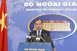 Vietnam opposes all sovereignty violations: Spokesman
