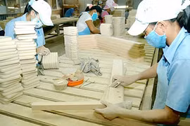 Japanese small enterprises eye Vietnam investment
