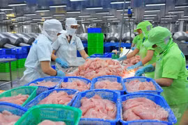 China begins large purchase of Vietnamese tra fish