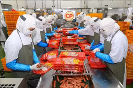 Hanoi ranks third in FDI attraction in ten months