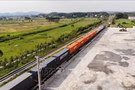 Bac Giang ships 56 tonnes of fresh lychees to China by rail