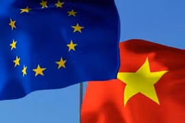 Vietnam – important partner of EU: EP Foreign Affairs Committee