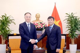 Vietnamese, Chinese foreign ministries intensify cooperation