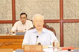 Nghe An province needs to grow stronger: Party leader