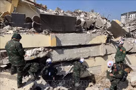 Vietnamese military rescue team finds two more sites with quake victims in Turkey