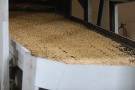 Cambodia expects to export 1 million tonnes of rice by 2025