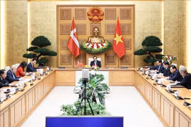Vietnam, Denmark establish Green Strategic Partnership 