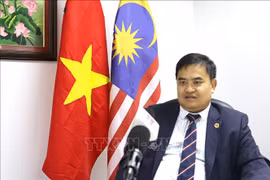 Vietnamese, Malaysian economies boast similarities, complementations: trade counselor