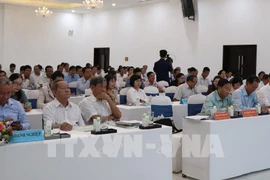Ample opportunity for Ben Tre to improve coconut value chain
