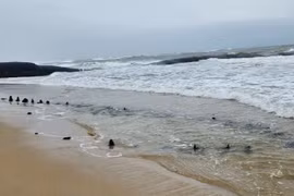 Quang Nam authorities undertaking protective measures for suspected ancient shipwreck