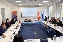 Nam Dinh promotes trade, investment with French businesses