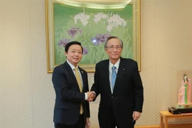Deputy PM Tran Hong Ha meets Japanese parliamentarians in Tokyo