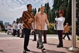 Singapore, Indonesia tighten cooperation in energy, sustainable development, health care