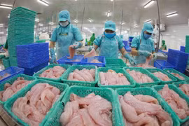 Vietnamese goods see room for growth in Canadian market