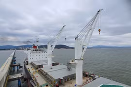 Vietnam-Japan joint venture ships 31,500 tonnes of cement to US