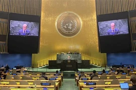 Vietnam supports reform of UN Security Council