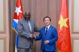 Vietnamese Deputy PM meets with Cuban leaders
