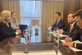  Deputy FM meets with Honourary Consul of Vietnam in Paraguay
